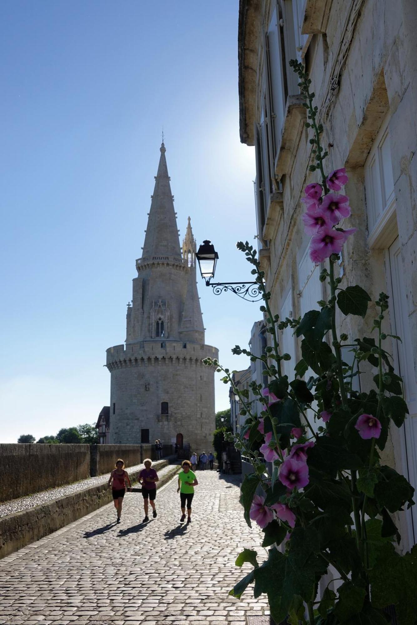 Les Pertuis Rochelais Bed & Breakfast Périgny Dış mekan fotoğraf