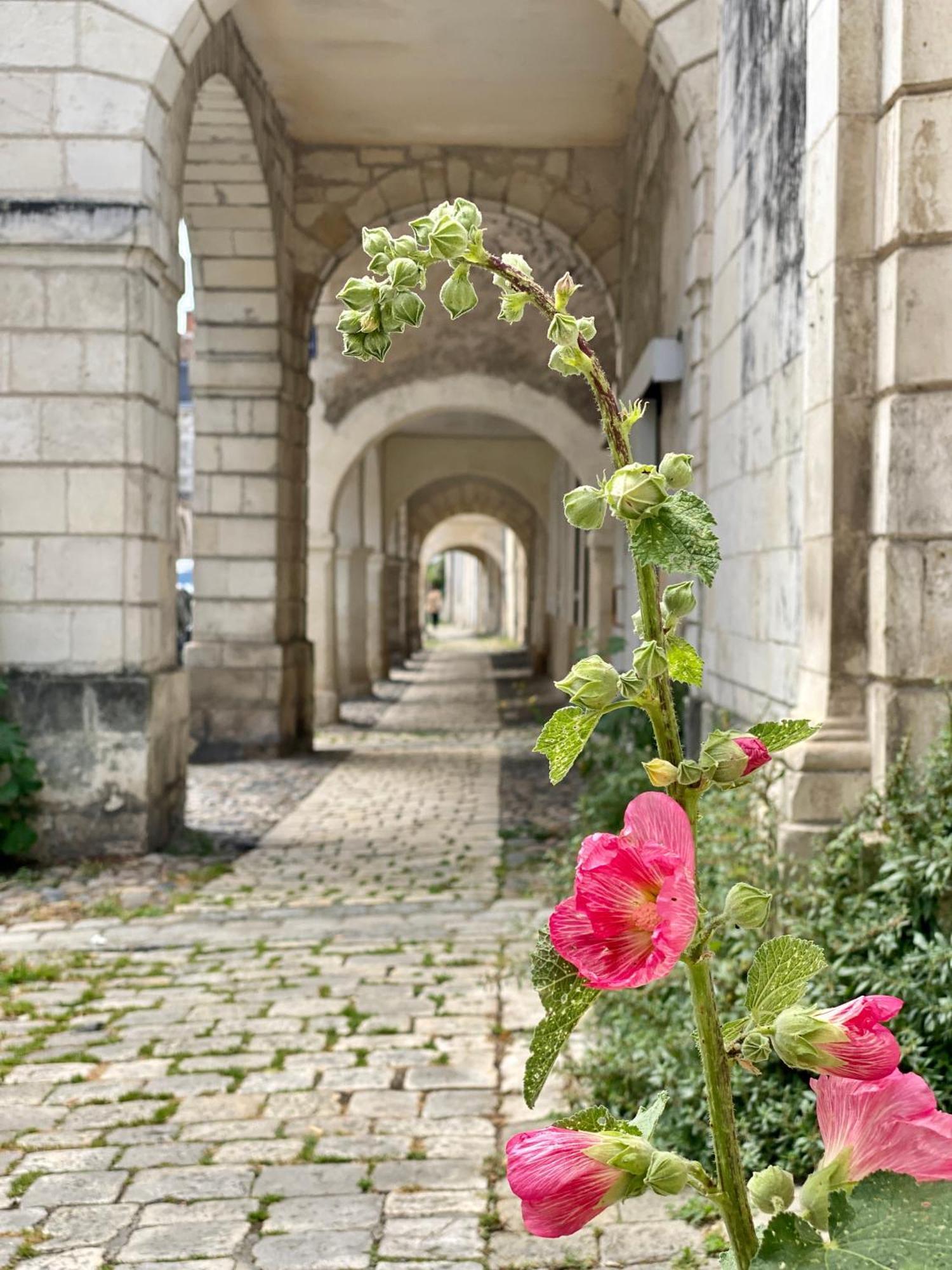Les Pertuis Rochelais Bed & Breakfast Périgny Dış mekan fotoğraf